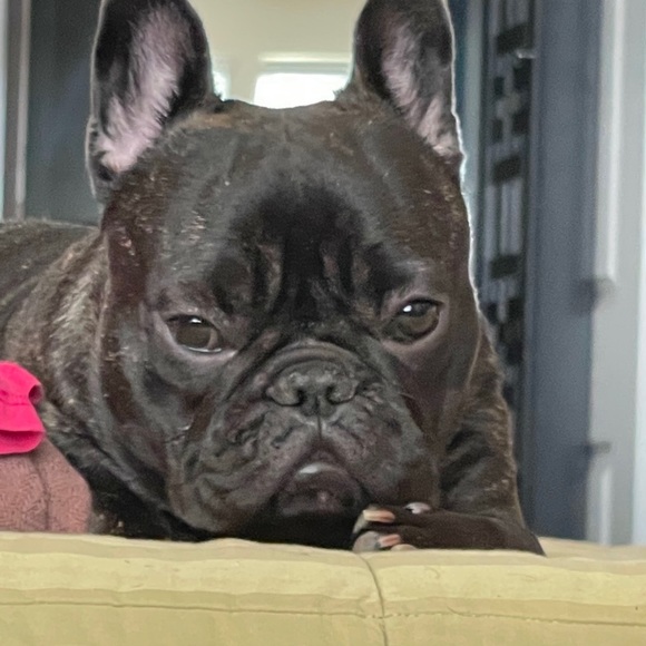 COME AND POSH WITH ME TODAY!!! - Picture 4 of 5